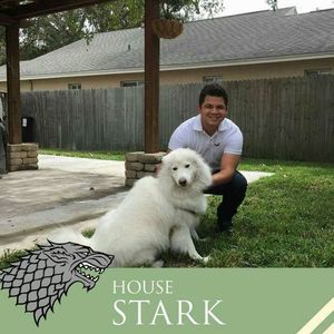 Meet your Posher, Miguel angel